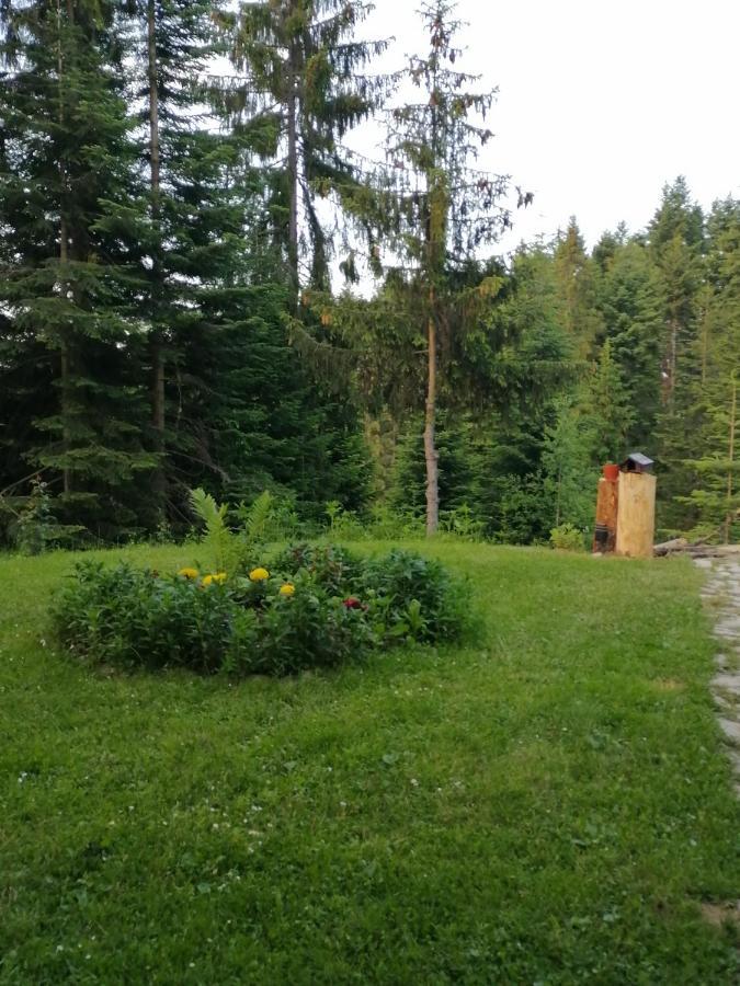 P-Zlatar, Apartman 3 Brdo Extérieur photo
